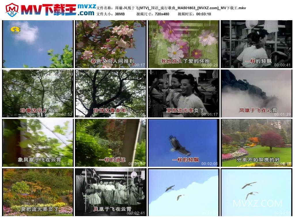 周璇-凤凰于飞(MTV)_国语_流行歌曲_MA501803